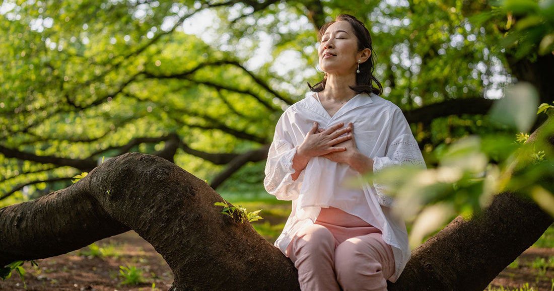  PuffiAir Diffuser Lung Detox